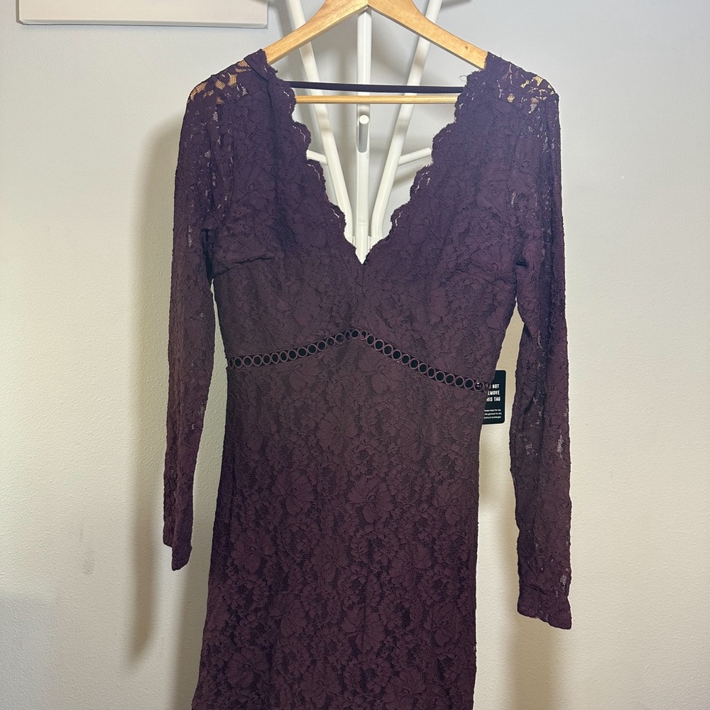 Express Burgundy lace dress